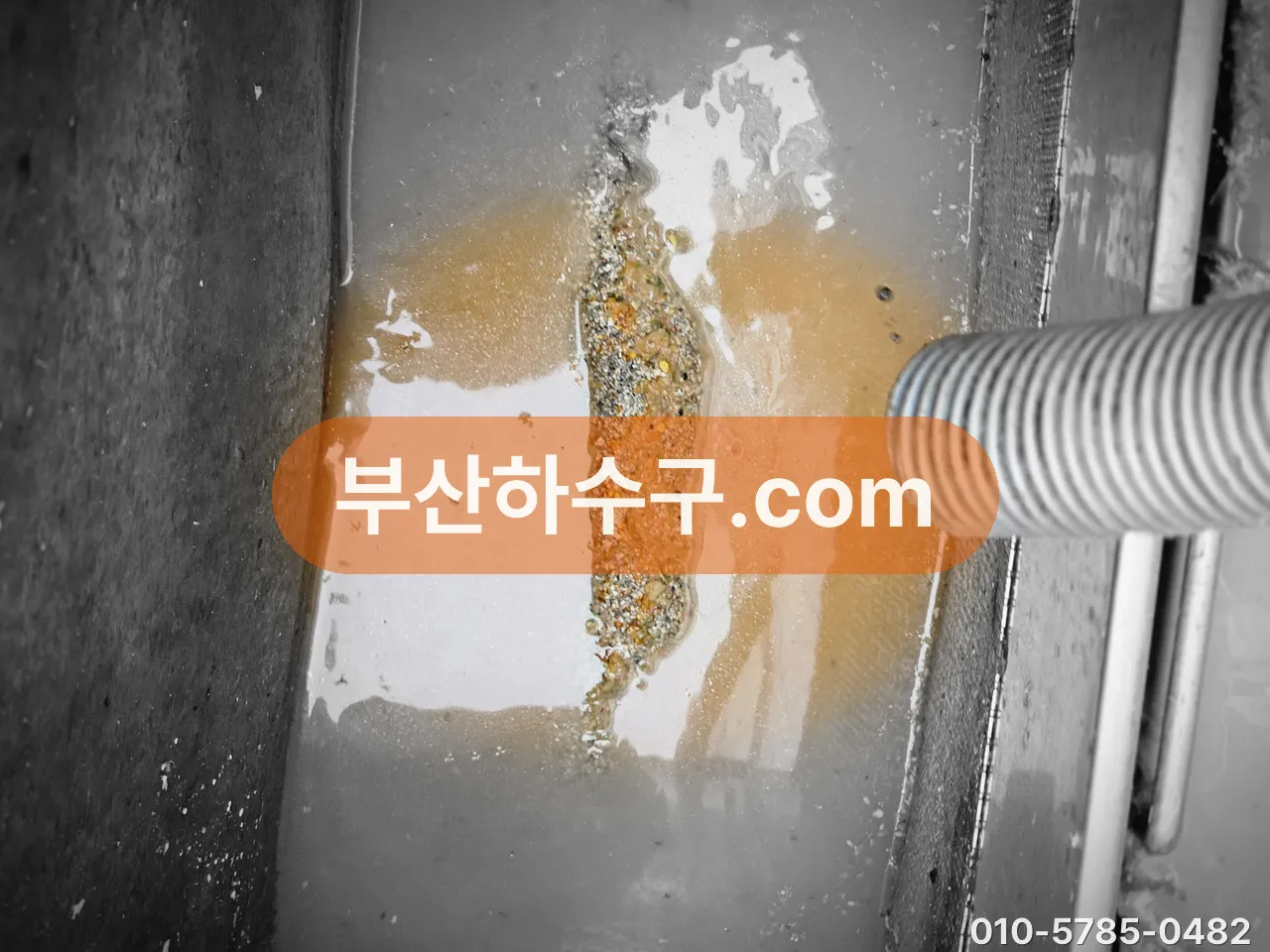 오수가 역류해 바닥에 흔적이 남은 현장