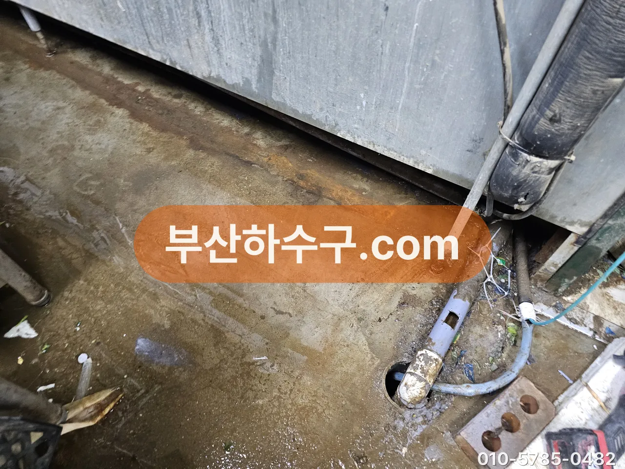 배수구로 되밀려 나온 물이 바닥에 얇게 고인 상태, 역류 직후 확인 장면